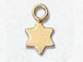 Gold-Filled Star Charm