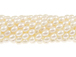 4.75x3.5mm Rice Freshwater Pearl - Light Creamrose (Jeweler' s Grade) 