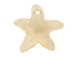 Silk - 20mm Swarovski  Starfish Pendant
