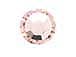 1440 Vintage Rose - 2028 Swarovski SS20 Hotfix Flat Backs 