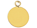 8mm Gold-Filled Flat Round Charm