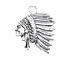 Sterling Silver Indian Head Charm 