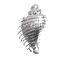 Sterling Silver Conch Shell Charm 