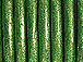 1 Yard -   Green Metallic Leather 2mm Round Leather Cord