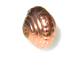 8.5x11.5mm Fancy BrightCopper Bead