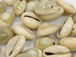 50 Pcs Bulk Cowrie Sea Shell Beads with Hole