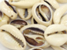 100 Pcs Bulk Cowrie Cut Sea Shell Beads