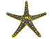 Gold Plated Starfish Pewter Pendant