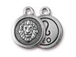 TierraCast Pewter Zodiac Sign Charms Antique Silver Plated - Leo