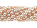 Freshwater Pearl - Light Peach / Pink