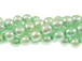 Freshwater Pearl - Mint Green