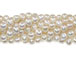 Freshwater Pearl - White