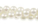 Freshwater Pearl - White (Grade AAA)