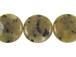 Dyed Kiwi Jasper Coins