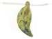 Carved Gemstone Leaves -  Yellow Turquoise