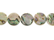 16mm Abalone Coins