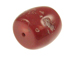 Red Coral Focal Bead
