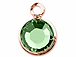 Swarovski Crystal Rose Gold Plated Birthstone Channel Charms - Peridot