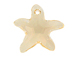 Silk - 20mm Swarovski Starfish Pendant 