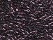 50 gram  Metallic RASPBRY  Delica Seed Beads8/0