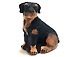 Rottweiler Large Size Peruvian Ceramic Bead 