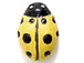 Yellow Lady Bug - Teeny Tiny Peruvian Ceramic Bead 