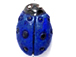 Dark Blue Lady Bug - Teeny Tiny Peruvian Ceramic Bead 