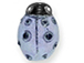 Light Blue Lady Bug - Teeny Tiny Peruvian Ceramic Bead 