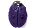 Purple Lady Bug - Teeny Tiny Peruvian Ceramic Bead 