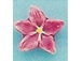 Yellow Iris - Teeny Tiny Peruvian Ceramic Bead 