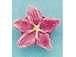 Red Iris - Teeny Tiny Peruvian Ceramic Bead 