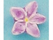 Pink Iris - Teeny Tiny Peruvian Ceramic Bead 