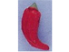 Chili Pepper - Teeny Tiny Peruvian Ceramic Bead 