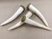 Bone Horn Tusk Tooth Amulet Pendant with Brass Cap Antique Ivory Finish Extra Large 4-inch