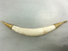 Bone Whitish color Pendant  with gold tone end caps,  *New, Finally arrivedl*